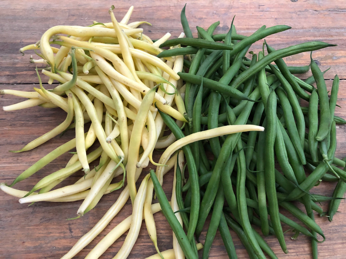 Michelle's Market - Green and Yellow Beans -Vegetables Calgary - Order Online - Farm Fresh